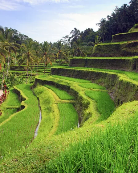 wisata trekking di Bali