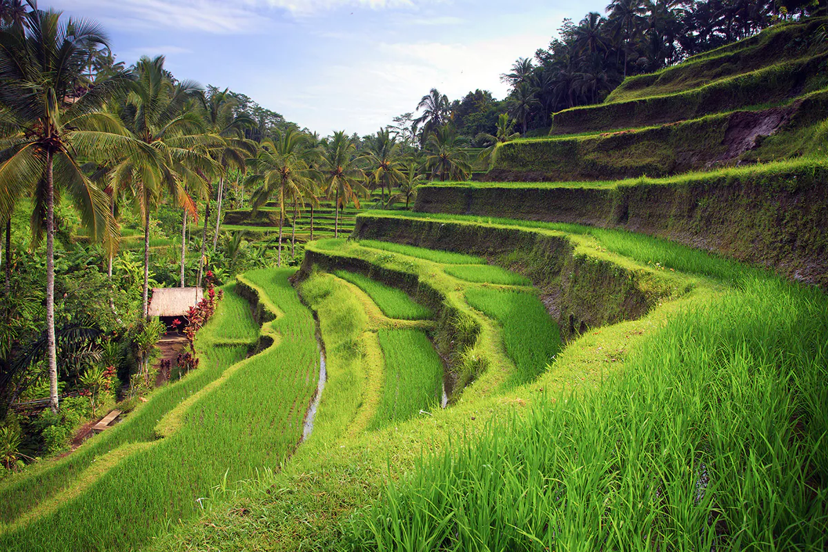 wisata trekking di Bali