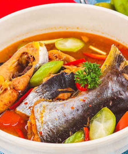 Ikan Patin