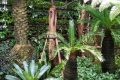 Inspirasi Taman Rumah Modern yang Nyaman dan Estetis
