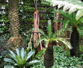 Inspirasi Taman Rumah Modern yang Nyaman dan Estetis