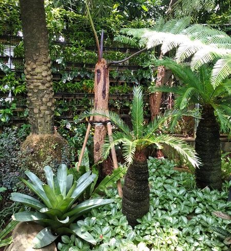 Inspirasi Taman Rumah Modern yang Nyaman dan Estetis