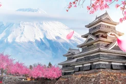 Menjelajahi Destinasi Wisata Jepang dan Persiapan Dokumen Visa Bersama GoVisa