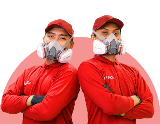 Waspada Serangan Rayap di Jakarta, Ini Solusi Perlindungan Bangunan yang Tepat